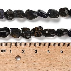 Natural Iolite Beads Strands&nbsp;G-P497-01E-35