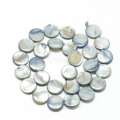 Natural Shell Beads Strands&nbsp;PBB251Y-3