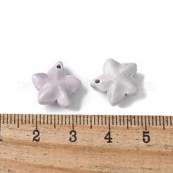 天然レインボーアラシャンアゲートチャーム  染め  スターのチャーム  アザミ  13~13.5x14~14.5x5~5.5mm  穴：1.2mm&nbsp;G-G194-02B