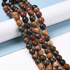 Natural Polychrome Jasper/Picasso Stone/Picasso Jasper Beads Strands&nbsp;G-E571-25B