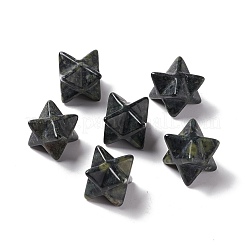 天然石ビーズ  穴がない  刻まれた  メルカバスター  13x13.5mm&nbsp;G-A205-01