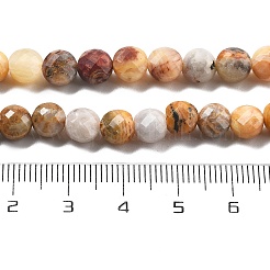 Natural Crazy Agate Beads Strands&nbsp;G-C179-A22-02