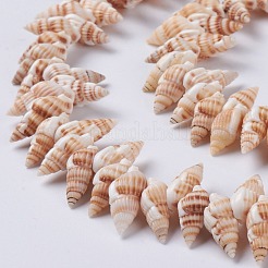 天然石スパイラルシェルビーズ連売り  小麦  14~20x7~10x6~8mm  穴：1mm  15.35インチ（39cm）&nbsp;X-BSHE-I016-08