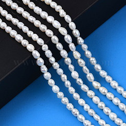 天然養殖淡水パールビーズ連売り  ライス  貝殻色  3.5~5x3.5~4.5mm  穴：0.6mm  約55~61個/連  13.70インチ〜13.78インチ（34.8cm〜35cm）&nbsp;PEAR-N012-03B