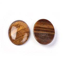 Natural Tiger Eye Cabochons&nbsp;G-F608-02B