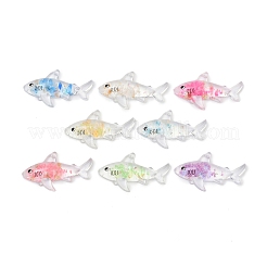 Transparent Luminous Acrylic Pendants&nbsp;TACR-Z002-04
