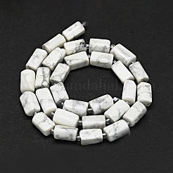 Natural Howlite Beads Strands&nbsp;G-O170-150