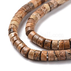 Natural Picture Jasper Beads Strands&nbsp;G-P468-03