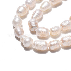 天然養殖淡水パールビーズ連売り  ねじり模様  ライス  貝殻色  6~12x5.5~6.5mm  穴：0.7mm  約43~45個/連  13.78インチ〜14.13インチ（35cm〜35.9cm）&nbsp;PEAR-N012-05E