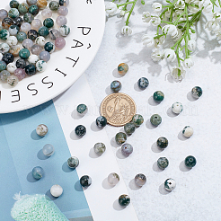 Natural Tree Agate Beads Strands&nbsp;G-AR0003-82