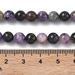 Natural Charoite Beads Strands&nbsp;G-C270-O03-02