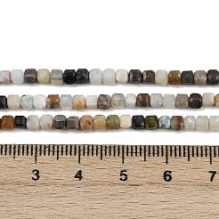 天然フラワーアマゾナイトビーズ連売り  多面カット  テーブルカットキューブビーズ  3x3x3mm  穴：0.7mm  約130個/連  15.35''（39センチメートル）&nbsp;G-RM2025-C45-B