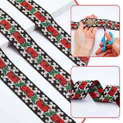 Polyester Ribbon&nbsp;OCOR-WH0109-369B