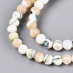 蓄光天然貝殻ビーズ連売り  染め  ラウンド  貝殻色  2.5~3mm  穴：0.5mm  約155~156個/連  15.55インチ（39.5cm）&nbsp;SSHEL-N040-05