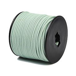 40M Nylon Coated 304 Stainless Steel Braided Wires&nbsp;TWIR-P002-01A-02