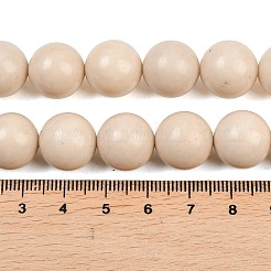 Natural Fossil Beads Strands&nbsp;G-E110-14mm-2