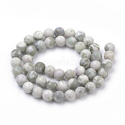 Natural Peace Jade Beads Strands&nbsp;G-S259-25-6mm