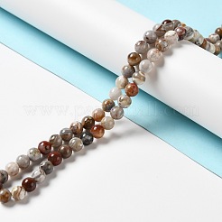 Natural Mexican Lace Agate Beads Strands&nbsp;G-E578-02B