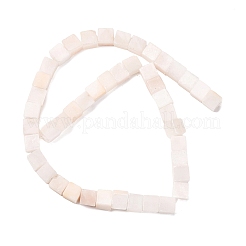 Natural Selenite Beads Strands&nbsp;G-B155-C08-8x8mm
