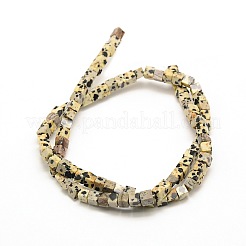 Natural Dalmatian Jasper Bead Strands&nbsp;G-A128-C22