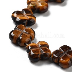 Natural Tiger Eye Beads Strands&nbsp;G-P520-A09-01