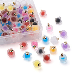 80Pcs 20 Style Plastic/Resin Frosted Pendants&nbsp;FIND-MP0001-01
