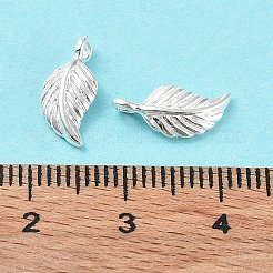 925 Sterling Silver Charms&nbsp;STER-E069-01S