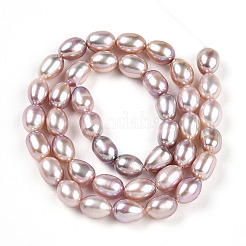 Natural Cultured Freshwater Pearl Beads Strands&nbsp;PEAR-N012-AA-03