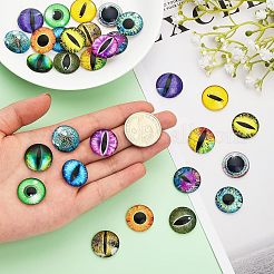 30個15スタイルの光るガラスカボション  目で半円形  ミックスカラー  20x6mm  2個/スタイル&nbsp;DIY-CA0004-97