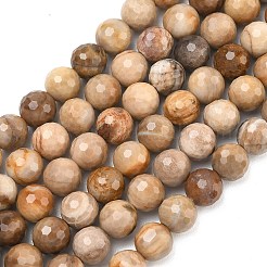 Natural Petrified Wood Beads Strands&nbsp;G-L642-F09-8mm