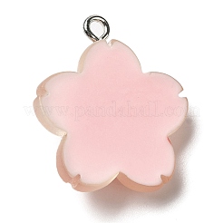 Translucent Resin Pendants&nbsp;RESI-L038-02P-02