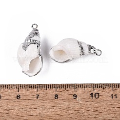 電気メッキ天然貝殻ペンダント  貝殻の形のチャーム  鉄製のループと真鍮製の金具付き  ホワイト  プラチナ  19~32x9~15x7~13mm  穴：1.6~1.8mm&nbsp;SSHEL-Q100-01P