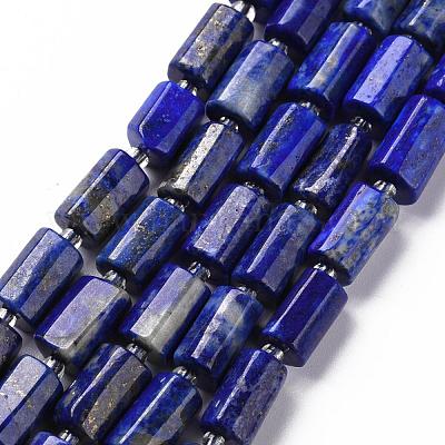 Natural Lapis Lazuli Beads Strands&nbsp;G-S345-8x11-002-1