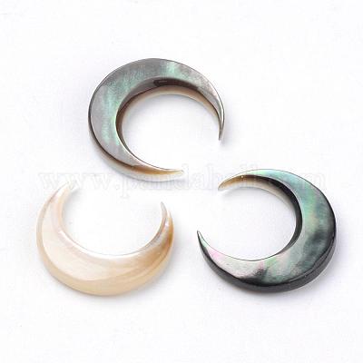 ブラックリップシェルカボション  ムーン  ブラック  12x11.5x2mm&nbsp;SHEL-S267-04A-1