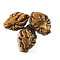 Carved Natural Tiger Eye Pendants, Fox, 31x21x7mm