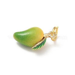 Brass Enamel Pendants&nbsp;KK-H523-01F-G02