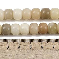 Natural Bodhi Root Beads Strand&nbsp;WOOD-B010-A01-10x8mm
