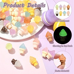 Luminous Resin Ice Cream Display Ornaments&nbsp;RESI-CJZ0001-10