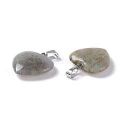 Natural Labradorite Pendants&nbsp;G-G956-B24-FF