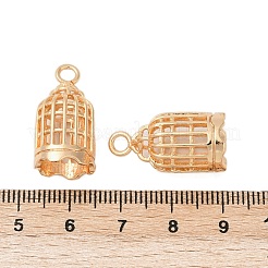 Brass Pendants&nbsp;KK-G532-21G