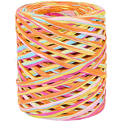 6色のラフィア紙紐  DIYのジュエリーには  カラフル  4~5.5mm  約87.49ヤード（80m）/かせ&nbsp;OCOR-WH0063-110A