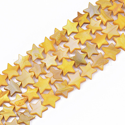 Freshwater Shell Beads Strands&nbsp;SHEL-S276-31