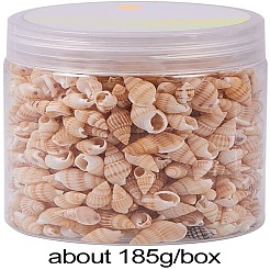 Natural Spiral Shell Beads&nbsp;SSHEL-PH0002-10