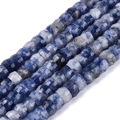 Natural Blue Spot Jasper Beads Strands&nbsp;G-Q606-46A-02