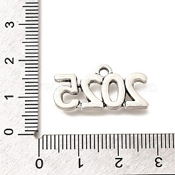 合金のチベット風チャーム  カドミウムフリー＆鉛フリー  数2025  アンティークシルバー  12.5x24.5x2.5mm  穴：1.9mm&nbsp;PALLOY-D291-09AS