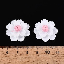 Resin Decoden Cabochons&nbsp;CRES-T025-04A