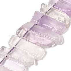 Natural Amethyst Beads Strands&nbsp;G-S386-D04