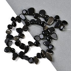 天然の金色の光沢のある黒曜石の塊ビーズの連売り  7.5~11.5x9~13x4~6.5mm  穴：0.8~1mm  約62~68個/連  14.96~15.55''（38~39.5センチメートル）&nbsp;G-B125-A01-01