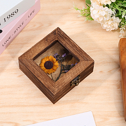 Square Wood Insect Display Case with White EVA Foam Mat Inside&nbsp;CON-WH0086-103A