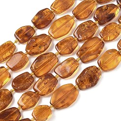 Natural Amber Beads Strands&nbsp;G-L095-C01-04